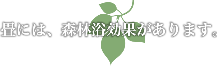 畳には、森林浴効果があります。
